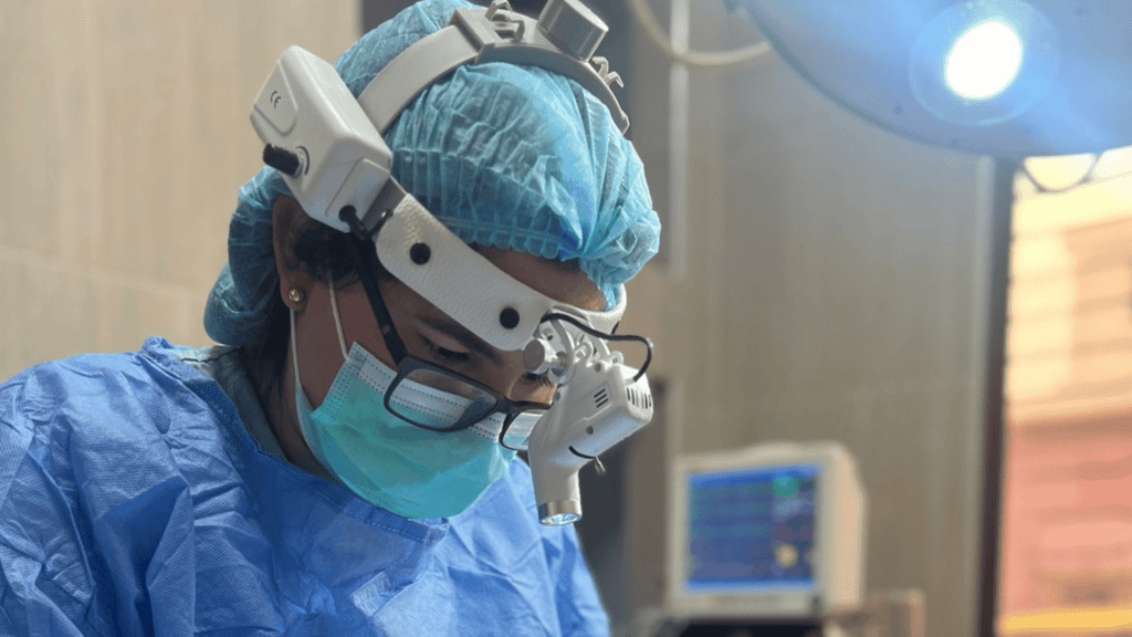 ¿Qué es la Piometra en Perras y Gatas y Cómo Puedo&nbsp;Evitarla?